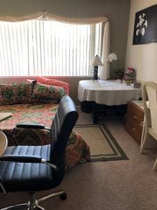 park-view beautiful, 3 miles from campus, available now 2