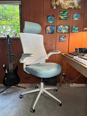 Ergonomic Office Chair 1