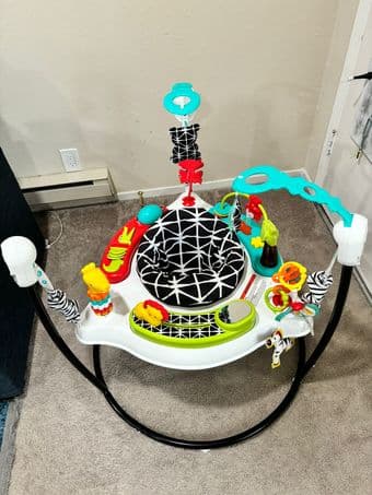 Fisher-Price Baby Bouncer for sale 2