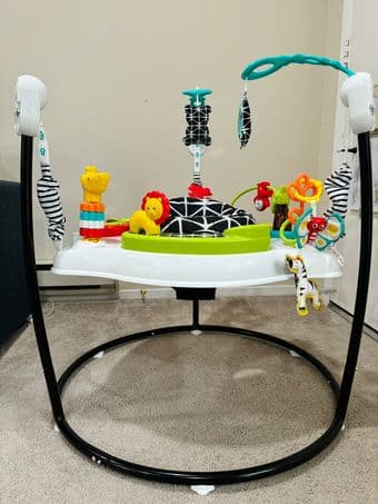 Fisher-Price Baby Bouncer for sale 1
