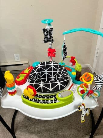 Fisher-Price Baby Bouncer for sale 3