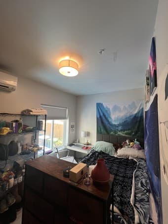 Private Bed/Bathroom in 7 bed SF Mission Apartment (mission district) 3