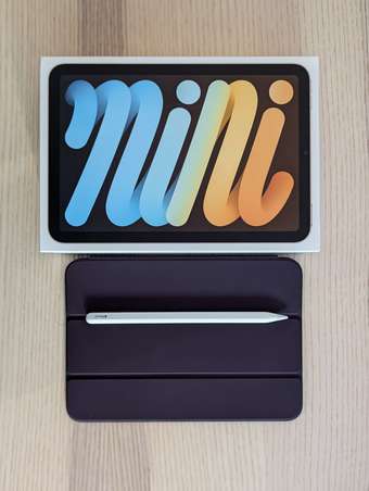 6th gen iPad Mini 1
