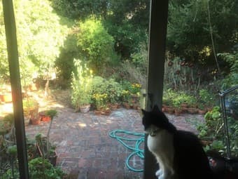 Furnished room in Menlo Park, $1575/month 3