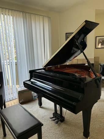 Baby Grand 1