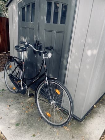 Bocas ladies bike 1