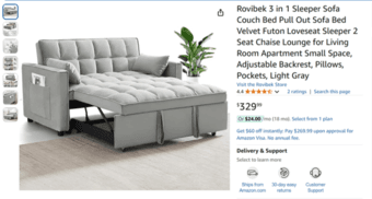 Pull Out Sofa 1