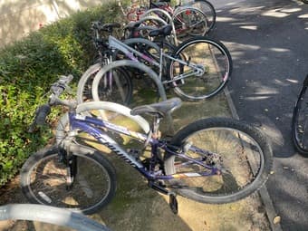 Mountain bike 1