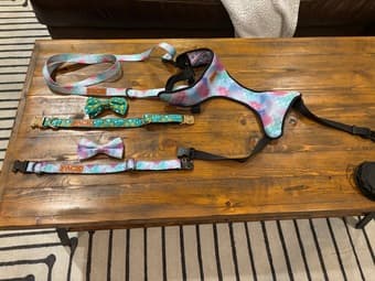 Large dog collars 1