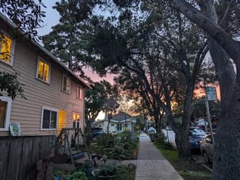 Room available in late July in warm, cooperative home! PA 1