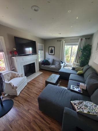 Studio sublet $1150 - furnished - May 30-July 5 - Cat sitter (read ad) 3