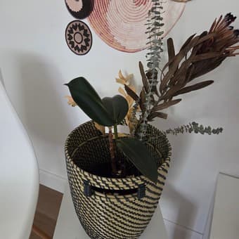 Baskets 2