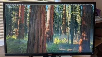 Dell 24'' Monitor 1