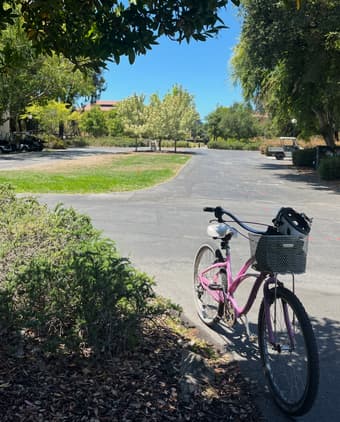 Electra Pink Bike 2