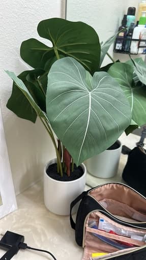 Artificial plants 1