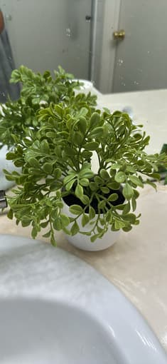 Artificial plants 2