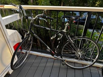 Hybrid bike 1