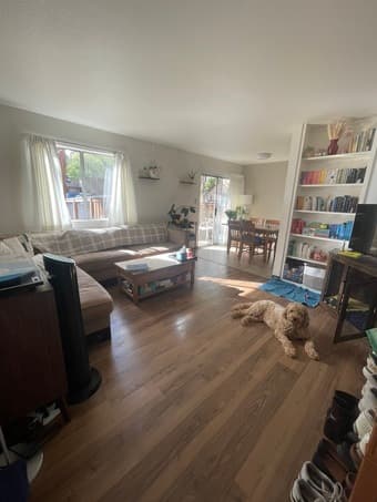 Winter Break Sublet -- Beautiful Sunny Campus House ($85/day) 1