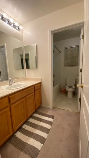 Spacious furnished 1B1B in Newark home 1
