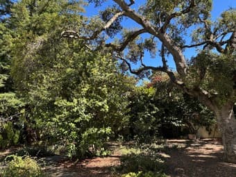 FURNISHED IN LAW UNIT AVAILABLE APRIL 1ST IN PALO ALTO 3