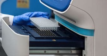 Part-Time Position – Molecular Biology (PCR & Sample Prep) 1