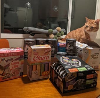 Lots of cat food 1