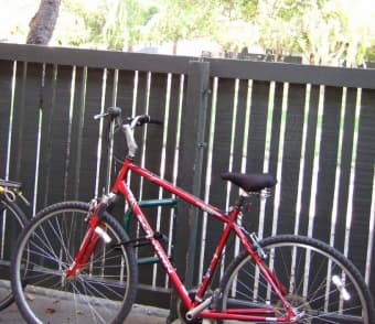 Offer great bike with lights and U-lock for the entire summer 1