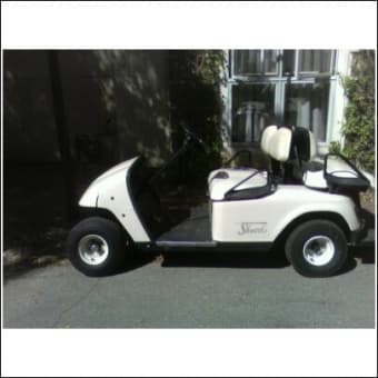 Golf Cart / Airport Shuttle 1