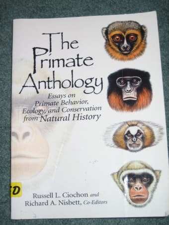The Primate Anthology 1