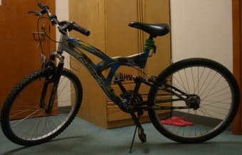 women's bike 1