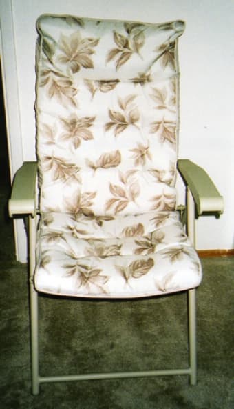 Patio Furniture ??????? chaise lounge and padded chair 2