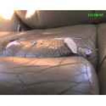 1996 Eddie Bauer Explorer..$4000 2