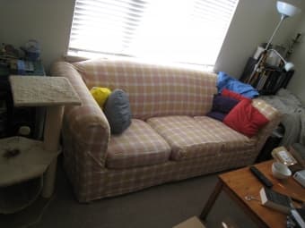 one free couch and one nice couch 1