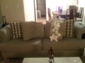 Large Comfy couch 1