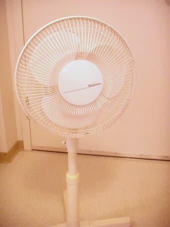 Holmes Standing Fan 1