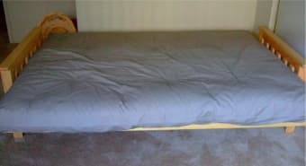 Frame and Futon $110 1