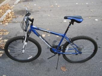 Roadmaster Bike 1