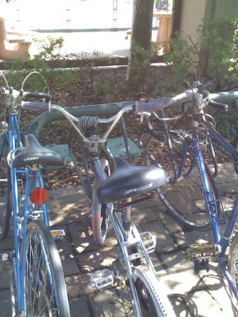 campus bike $150 OBO 1