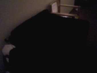 FUTON/COUCH $15 MUST GO!!! 2