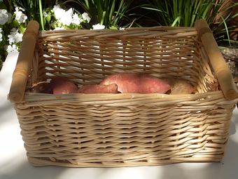 3 Baskets - $5 2