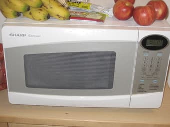 microwave -- $20/ Carousel bought for $85 1