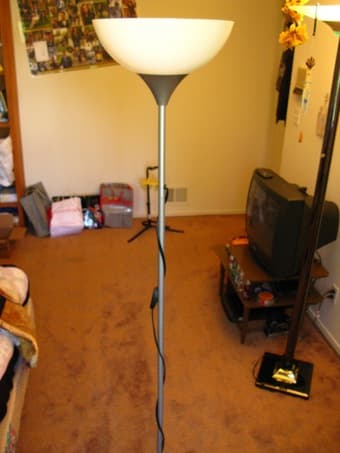 Standard floorlamp for $7. Nightlight for $2. Extra bulbs. 1