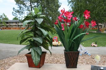 VARIOUS ITEMS( LAMPS, PLANTS, CANDLE HOLDERS, VASE ETC) 2