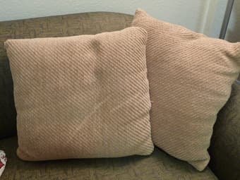 FS - 2 very comfy, brand new cushions - $10 1