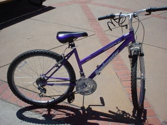 blue Roadmaster 26' bike-----$160 1