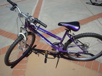 blue Roadmaster 26' bike-----$160 2
