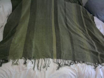 IKEA Green Pillows and Chenille Blanket + Two Red Throw Pillows - $20! 1