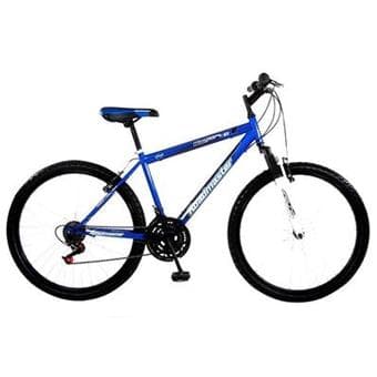 Two Roadmaster Bikes with Locks 2