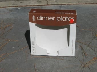 brand new dinner plates set of four - $12 1
