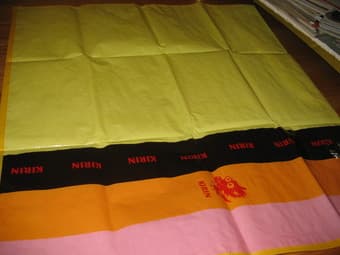 picnic mat - $8 1